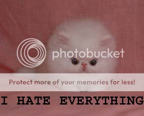 i_hate_everything.jpg