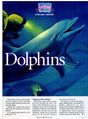 Boys Life Forstchen Diving With Dolphins Page 2.jpg
