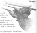 Guide-stingray2.png