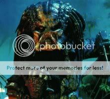 predator.jpg