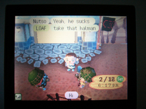 animalcrossing02.jpg