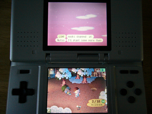 animalcrossing04.jpg