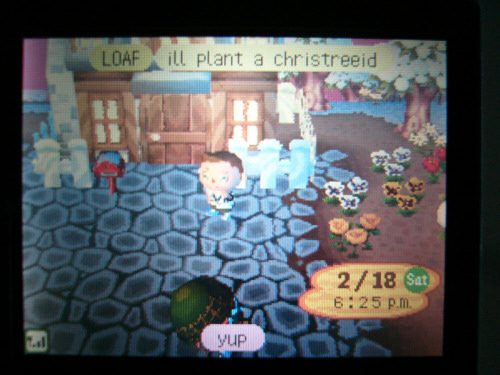animalcrossing05.jpg