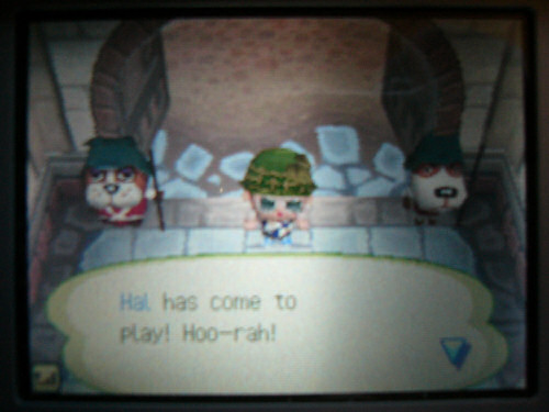 animalcrossing12.jpg