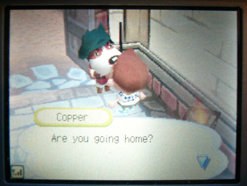 animalcrossing26.jpg