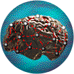 Brain implants-crop.png