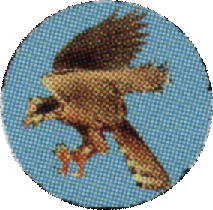 File:Hellcat Osprey.png
