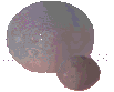 File:Privateer - Oxford - Moons.png