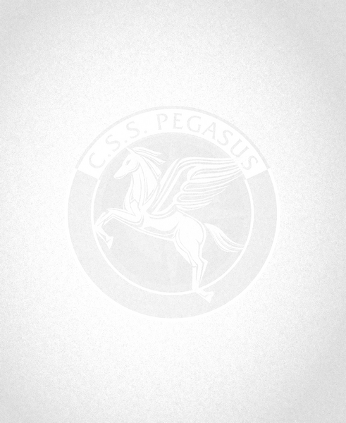 File:Handbook Art Peg w backgrnd.png