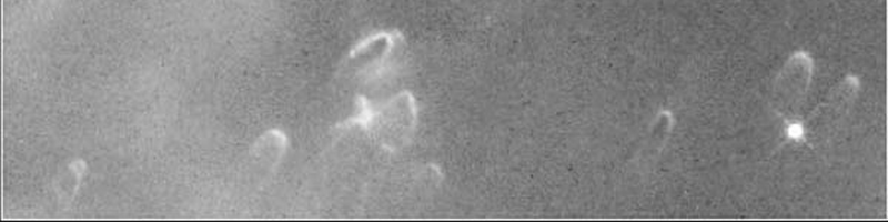 File:Handbook Art bw comets.png