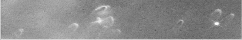 File:Handbook Art bw comets v2.png