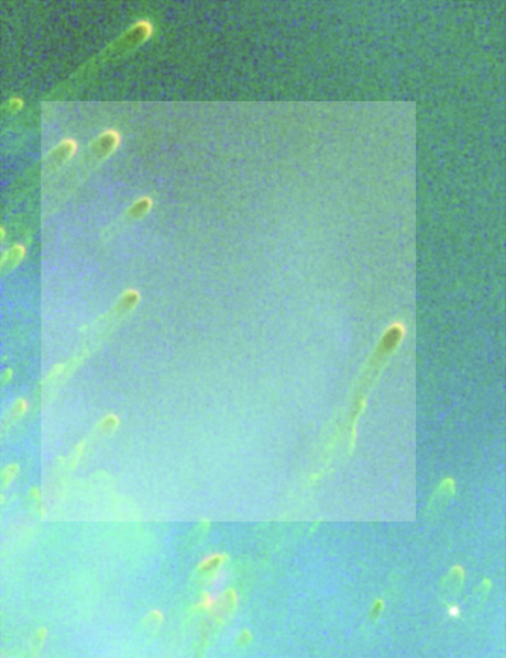 File:Handbook Art cometary knots2.png