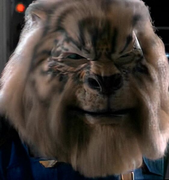 File:Hobbes closeup.jpg