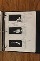 WC4 Storyboards 279.JPG